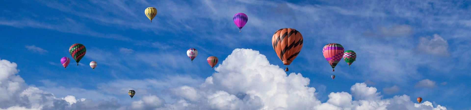 大菠萝福建导航福引导网站